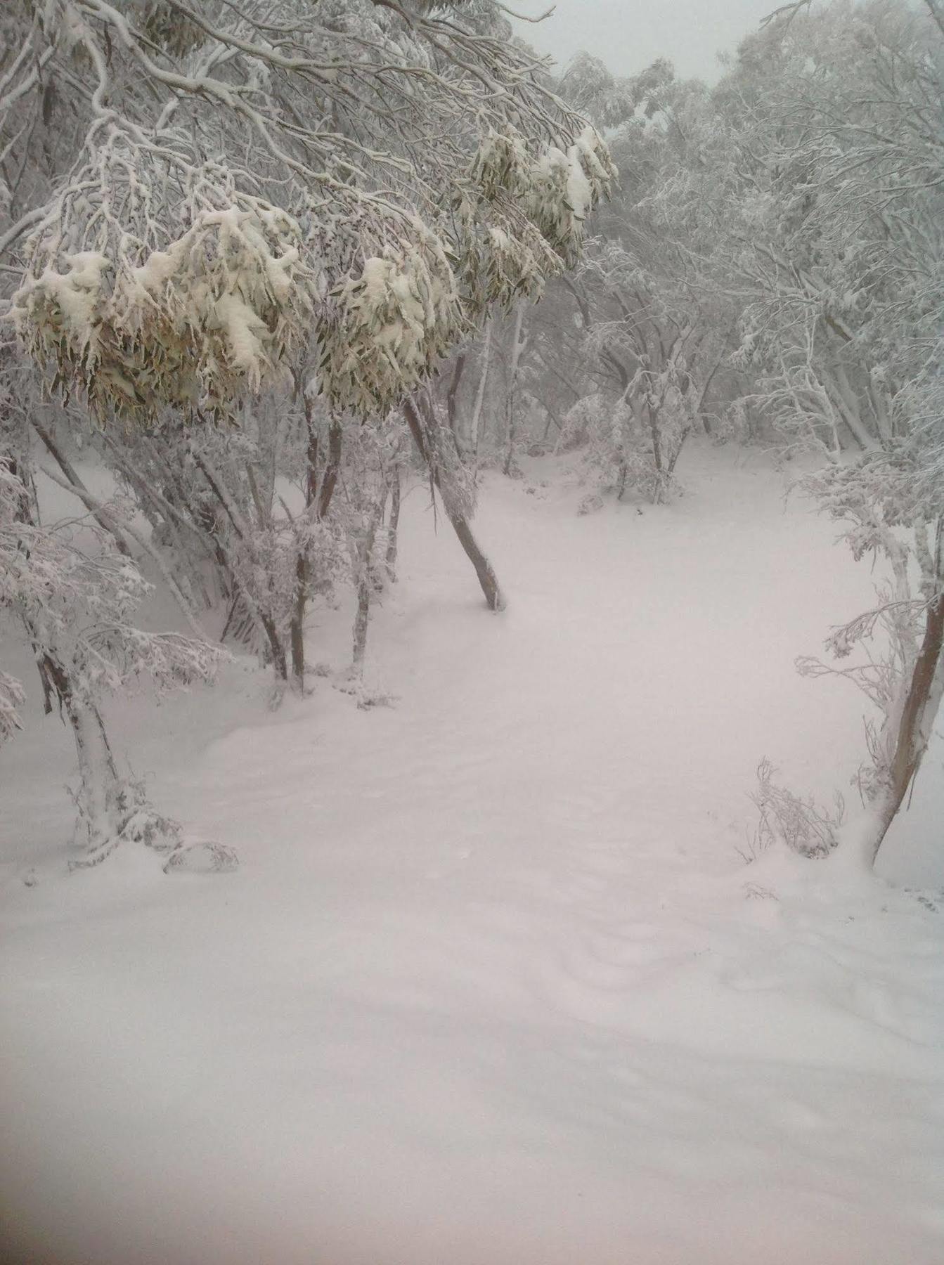 Terama Ski Lodge Mount Buller Ngoại thất bức ảnh
